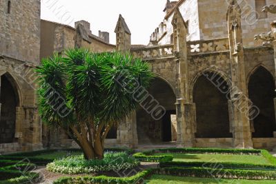 Narbonne