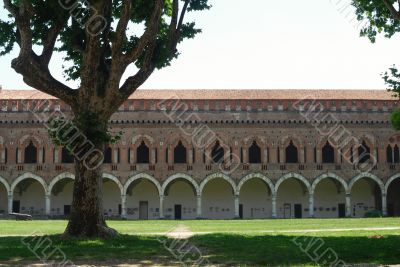 Pavia 11
