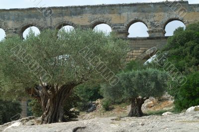 Pont du Gard 9