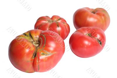 Beautiful Heirloom Tomatoes
