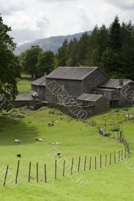Farmland in the Lake District