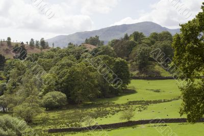 Farmland in the Lake District