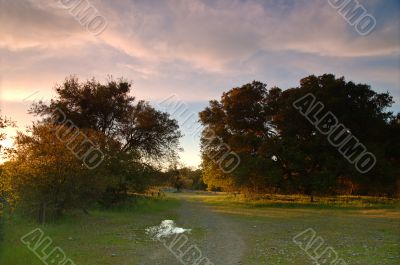 spring countryside