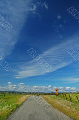 spring countryside