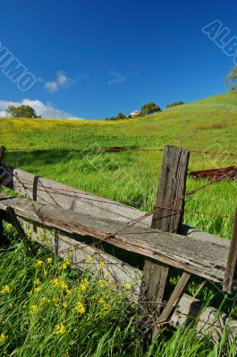 spring countryside