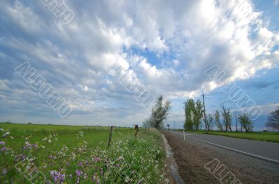 spring countryside