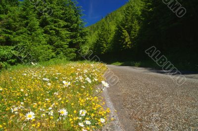 Road in the mountains