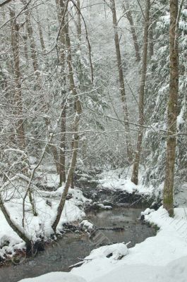snowy creek