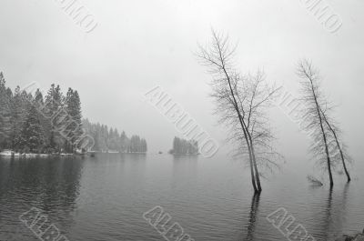 snowy lakeshore