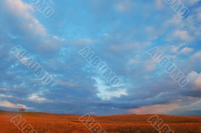 evening field
