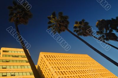 buildings lit by evening light