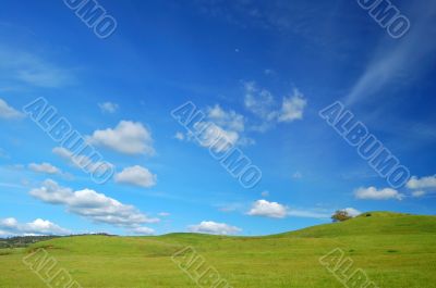 springtime landscape