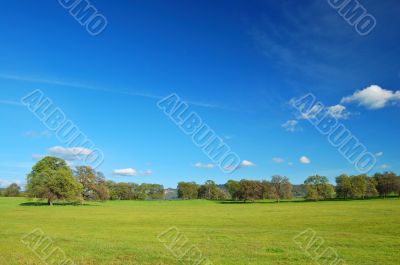 springtime landscape
