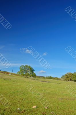 springtime landscape