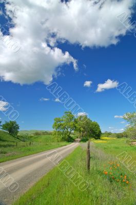 Country Road