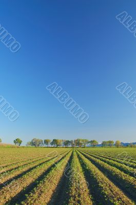 rural countryside