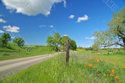 Country Road