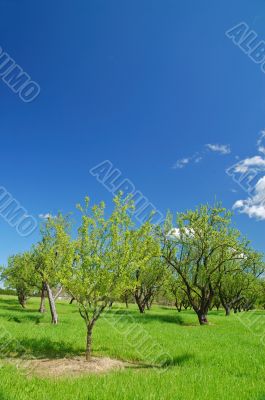 rural countryside