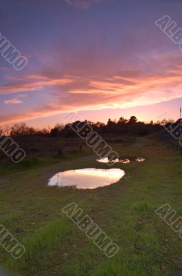 evening puddle