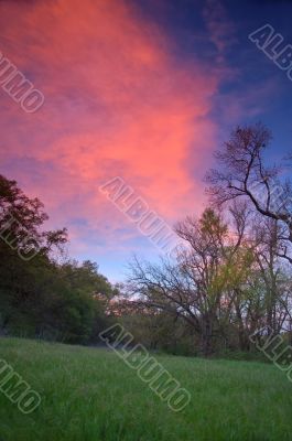 evening in the park