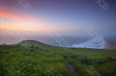 Beach Meadow