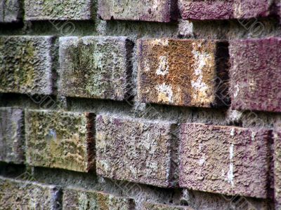 Old Brick