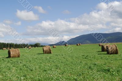 Plateau de Sault 2