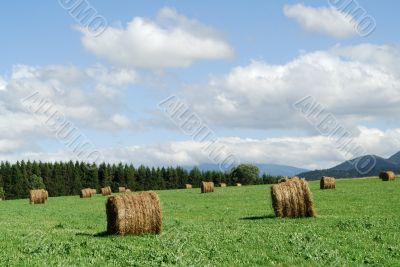 Plateau de Sault 3