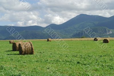 Plateau de Sault 4