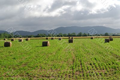 Plateau de Sault 6