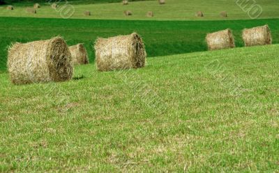 Plateau de Sault 7