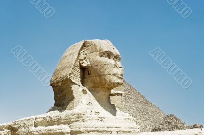 Face of the Great Sphinx