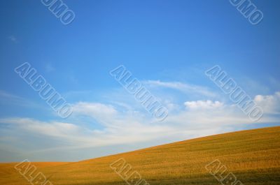 agricultural landscape