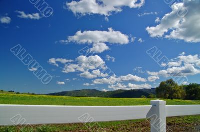 verdant spring landscape