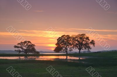 landscape silhouette