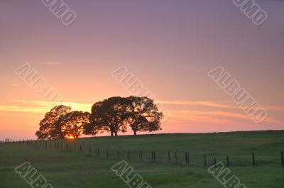 landscape silhouette