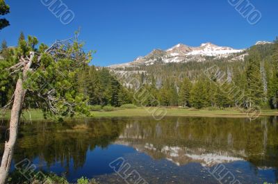 Mountains in springtime