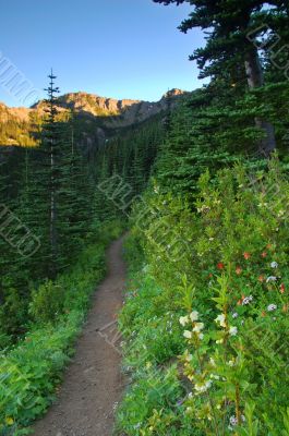 Trail in the mountains