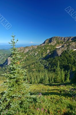 Mountains views