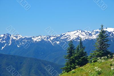 Mountain views