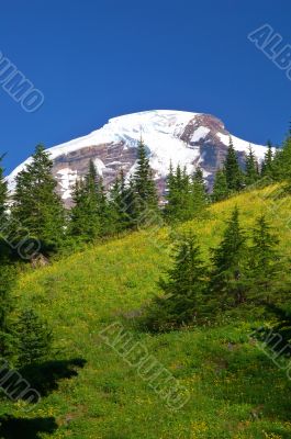 Mountain views