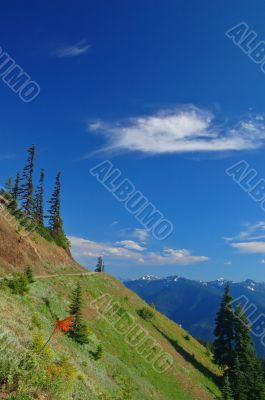 mountain views