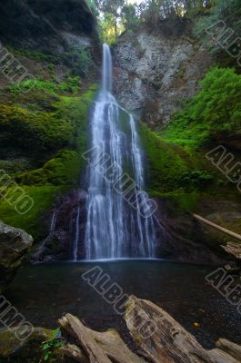 Waterfall in the forest