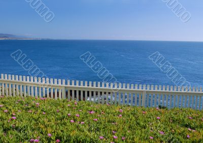 Coastal Views