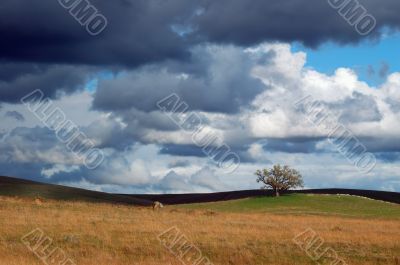 edge of the storm