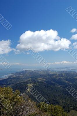 Bay Views