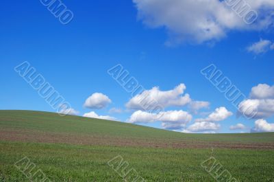 country field