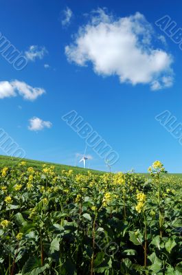windmills in field