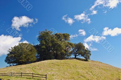 spring countryside