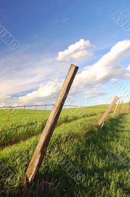 spring countryside